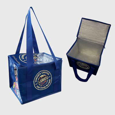 Laminated Woven Cooler Bag with Zipper Closure and Clear PET Waterproof Inner Bag